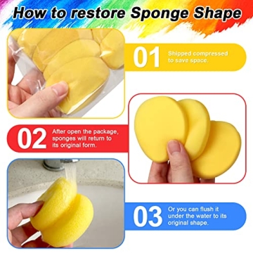 Hapy Shop Round Painting Sponge Pack - Perfect for Crafts & Cleaning