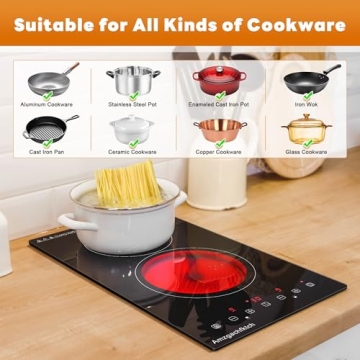 2 Burner Electric Cooktop with Child Lock & Timer | 3000W Ceramic Stove