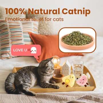 Petinstinct 4 Pack Catnip Toys, Crinkle Cat Toys for Indoor Cats, Soft Stuffed Kitten Chew Toys, Cute and Durable Cat Kicker Toys for Kitten Exercise 4 Inches for All Breeds