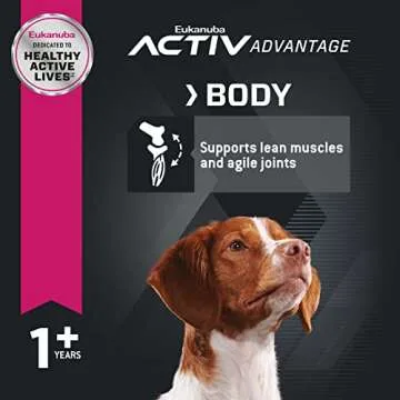 Eukanuba Adult Dry Medium Breed Dog Food, Dry Dog Food for Medium Dogs with Protein, DHA and Vitamins to Support a Healthy Lifestyle, 30 lb Bag