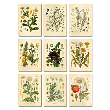 Vintage Botanical Prints Set of 9 Floral Wall Art