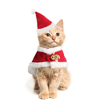 LESYPET Cat Christmas Costume with Santa Hat and Cloak