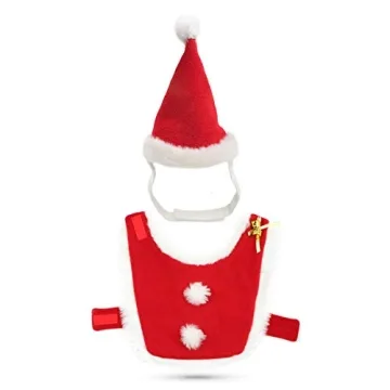 LESYPET Cat Christmas Costume with Santa Hat and Cloak