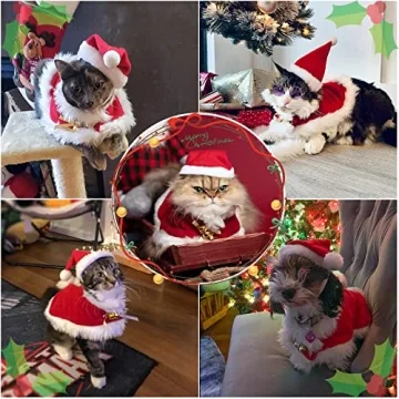 LESYPET Cat Christmas Costume with Santa Hat and Cloak