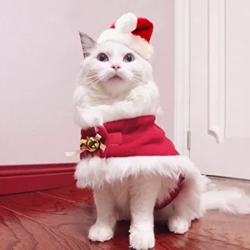 LESYPET Cat Christmas Costume with Santa Hat and Cloak