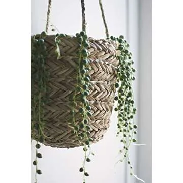 Natural Seagrass Hanging Planter for Indoor Plants