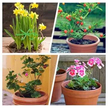 Tyqour 8pcs Plant Stem Support Stakes for Healthy Growth