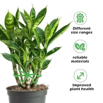 Tyqour 8pcs Plant Stem Support Stakes for Healthy Growth