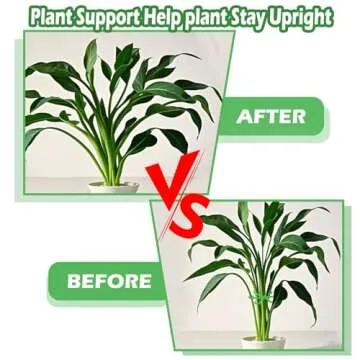 Tyqour 8pcs Plant Stem Support Stakes for Healthy Growth