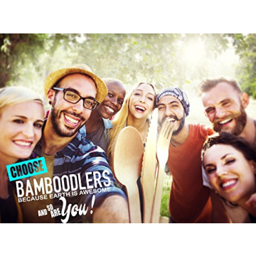 BAMBOODLERS Eco-Friendly Disposable Wooden Cutlery Set
