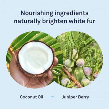 Petpost | Tear Stain Remover Wipes - Presoaked Cotton Pads - Best Natural Eye Crust Treatment for White Fur - Maltese Angels Approved - Chemical and Bleach Free 100 ct.