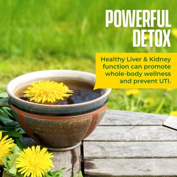 Organic Dandelion Root Tea Detox for Health and Wellness