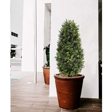 Realistic Artificial Topiary Boxwood Trees for Home Decor