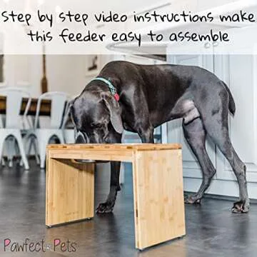 Pawfect Pets Elevated Dog Feeder with 4 Bowls - 12 Inch