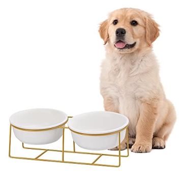 Large Double Elevated Dog Bowls - Ceramic Pet Bowl Set with Gold Stand
