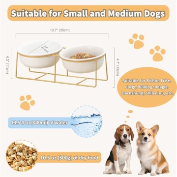 Stylish Elevated Pet Bowl Set for Dogs and Cats