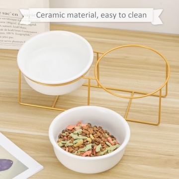 Stylish Elevated Pet Bowl Set for Dogs and Cats