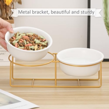 Stylish Elevated Pet Bowl Set for Dogs and Cats