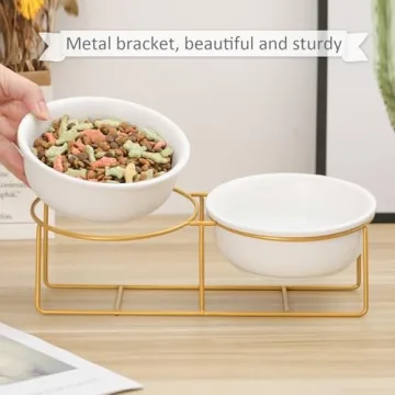 Stylish Elevated Pet Bowl Set for Dogs and Cats