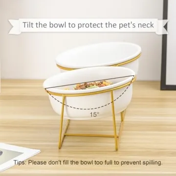 Stylish Elevated Pet Bowl Set for Dogs and Cats