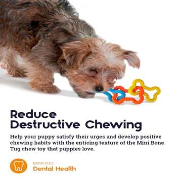 Petstages Mini Bone Tug Puppy Chew Toy