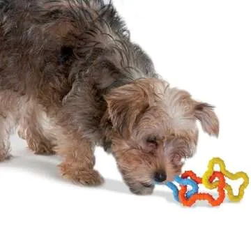 Petstages Mini Bone Tug Puppy Chew Toy for Playtime Fun