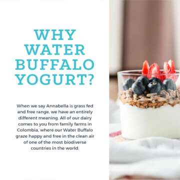 Annabella Water Buffalo Yogurt, A2 Milk, Grass Fed More Protein and Calcium, 50% Less Cholesterol and Lactose, Gluten Free, Small Batch, Mix in Smoothies, 6 Ounce, Pack of 6, Plain
