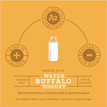 Annabella Water Buffalo Yogurt, A2 Milk, Grass Fed More Protein and Calcium, 50% Less Cholesterol and Lactose, Gluten Free, Small Batch, Mix in Smoothies, 6 Ounce, Pack of 6, Plain