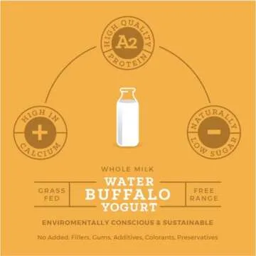 Annabella Water Buffalo Yogurt, A2 Milk, Grass Fed More Protein and Calcium, 50% Less Cholesterol and Lactose, Gluten Free, Small Batch, Mix in Smoothies, 6 Ounce, Pack of 6, Plain