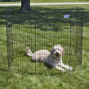 MidWest Pet Playpen: Spacious & Foldable for Pets