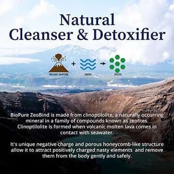 BioPure ZeoBind – 100% Natural Mineral Blend of Clinoptilolite and Mordenite Powder That Detoxes and Cleanses The Body to Support Immunity, Gastrointestinal Health, and Microbiome Balance – 200g