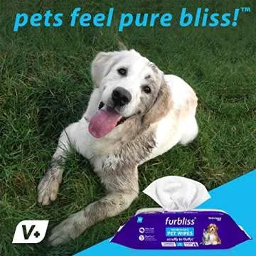 Hypoallergenic Furbliss Pet Wipes for Dogs & Cats