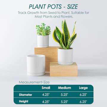 vancasso Ceramic Plant Pots Set - Elegant 3 Piece Planters for Indoor Use