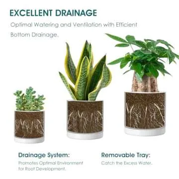 vancasso Ceramic Plant Pots - Elegant 3 Piece Planters