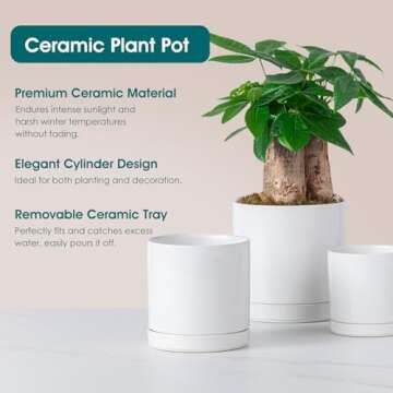 vancasso Ceramic Plant Pots - Elegant 3 Piece Planters