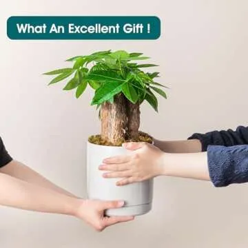 vancasso Ceramic Plant Pots - Elegant 3 Piece Planters