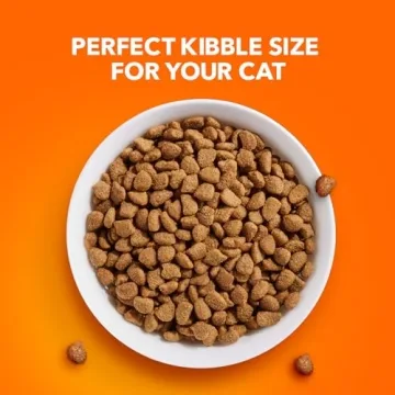 IAMS Proactive Health Dry Cat Food for Indoor Cats