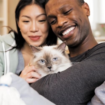 IAMS Proactive Health Dry Cat Food for Indoor Cats