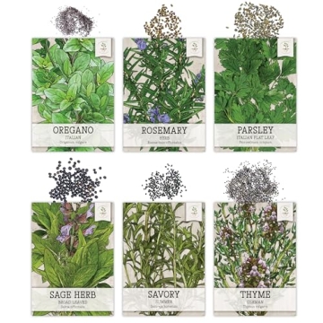 Seed Needs Herb Seeds Variety Pack Culinary Herb Collection (12 Individual Packets for Planting Indoors or Outdoors) Grow Your Own Organic Herb Garden - Heirloom, Non-GMO