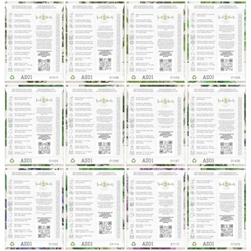 Seed Needs Herb Seeds Variety Pack Culinary Herb Collection (12 Individual Packets for Planting Indoors or Outdoors) Grow Your Own Organic Herb Garden - Heirloom, Non-GMO