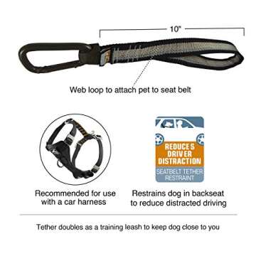 Kurgo Dog seat Belt Pet Safety Tether with Carabiner, Tru-Fit Enhanced Strength Replacement Tether, ...
