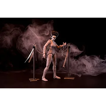 Jada Toys Universal Monsters Bride of Frankenstein Action Figure