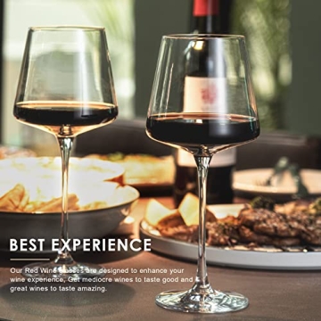 Coccot Wine Glasses Set of 6 - Elegant Crystal Drinkware