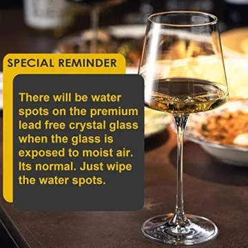 Coccot Wine Glasses Set of 6 - Elegant Crystal Drinkware