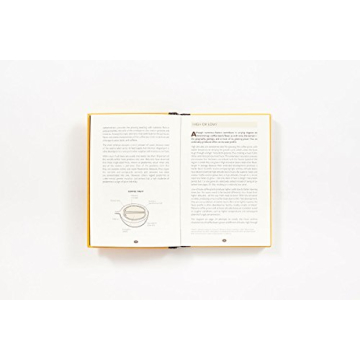 Learn Coffee Brewing Science with Engaging Guide