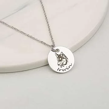 Anavia Personalized Pet Portrait Necklace, Handmade Pet Dog Cat Memorial Jewelry Gift, Customized Round Disc Photo Engraved Necklace Pet Gifts for Animal Lover Dog Mom(1 Disc, Silver)
