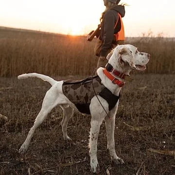 Carhartt Neoprene Dog Vest for Ultimate Comfort and Warmth