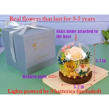 Valley of Rain & Forest - Real Flowers Gift
