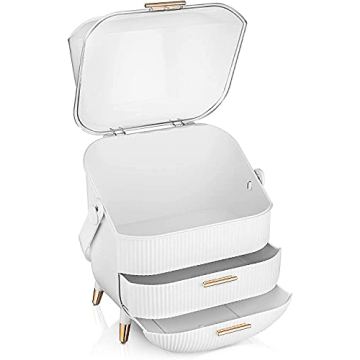 BIRDBELL Makeup Organizer with Dust Proof Storage Display