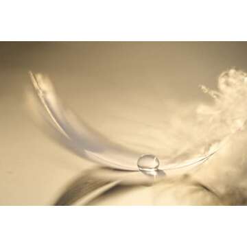 Nikon NIKKOR Z MC 105mm f/2.8 VR S | Professional macro prime lens for Z series mirrorless cameras |...